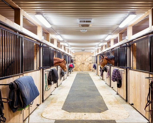 Daventry Equine Appraisal Services